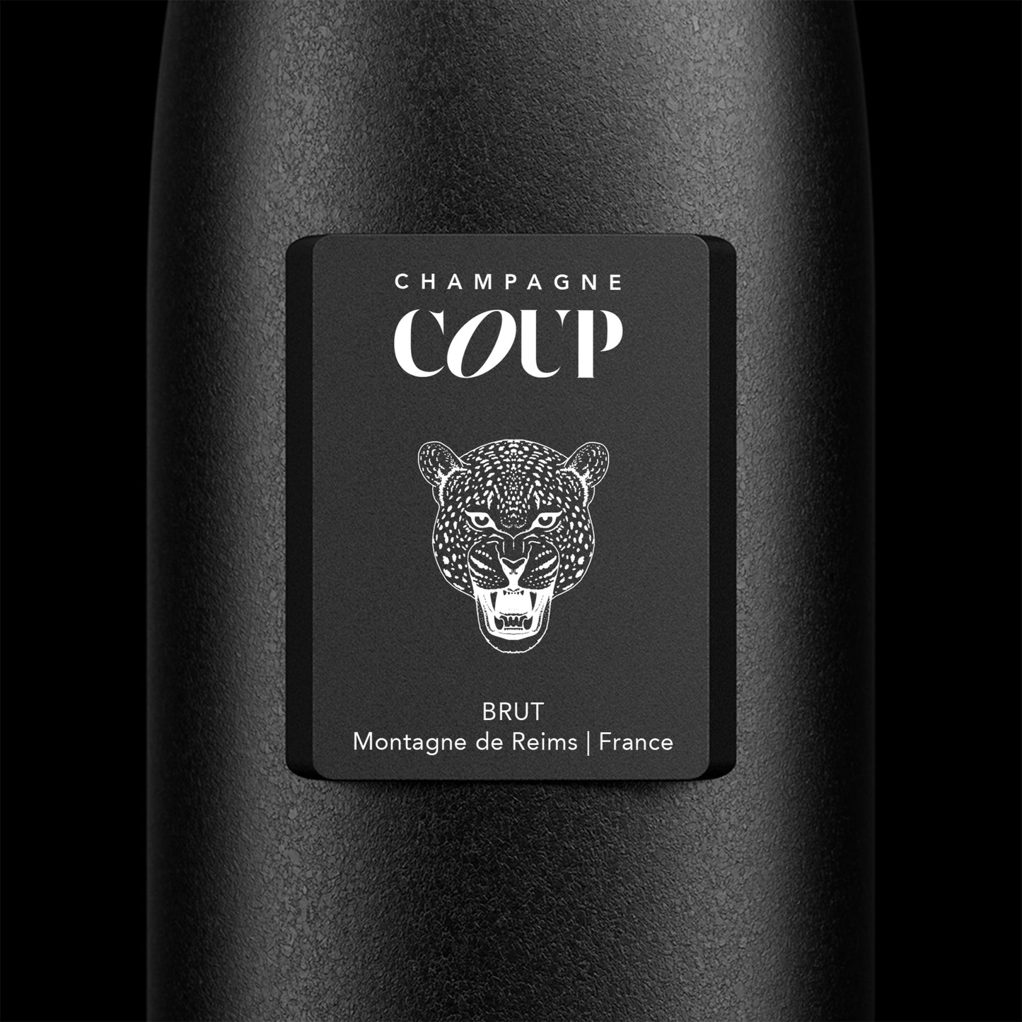 COUP - Winterstone Tiger Design