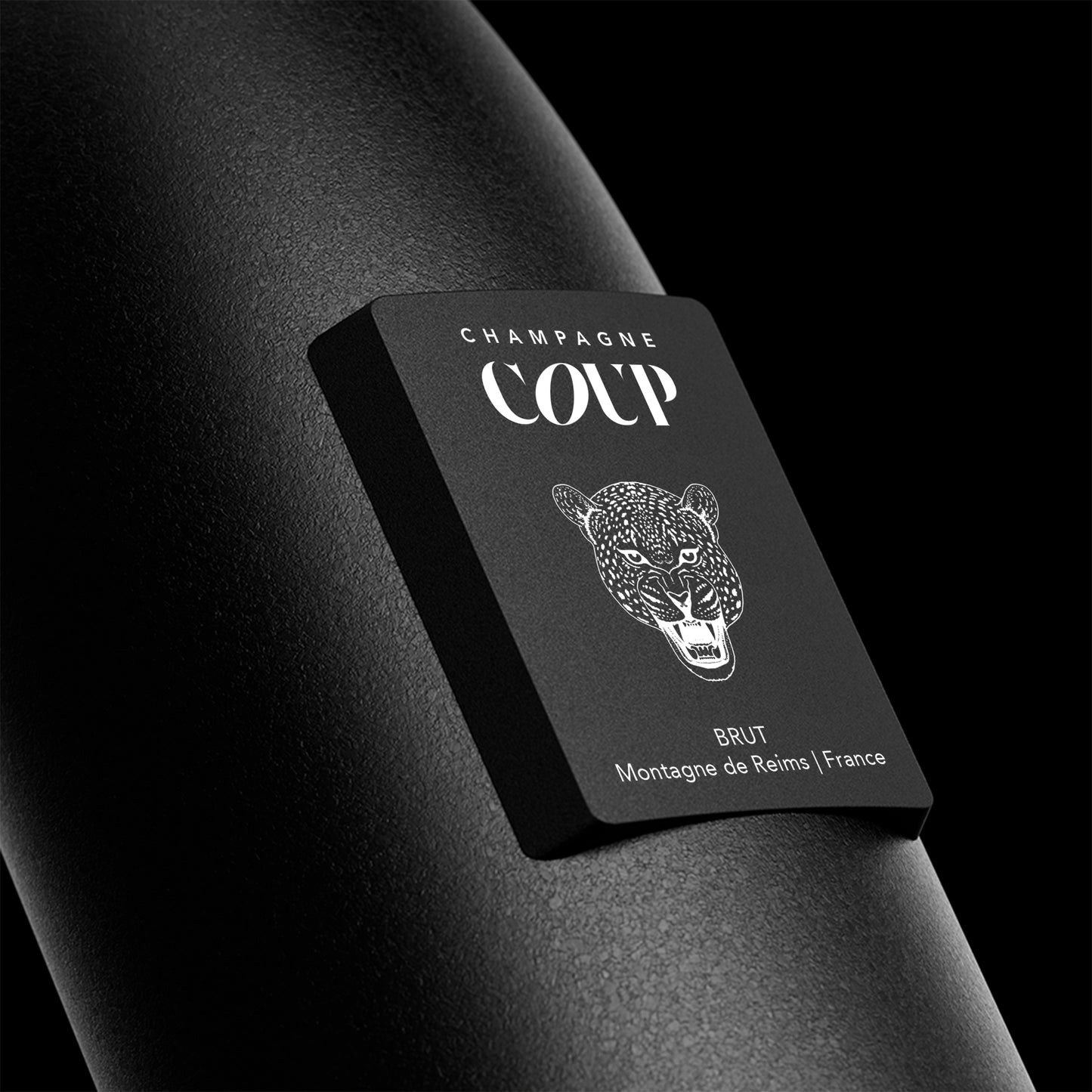 COUP - Winterstone Tiger Design