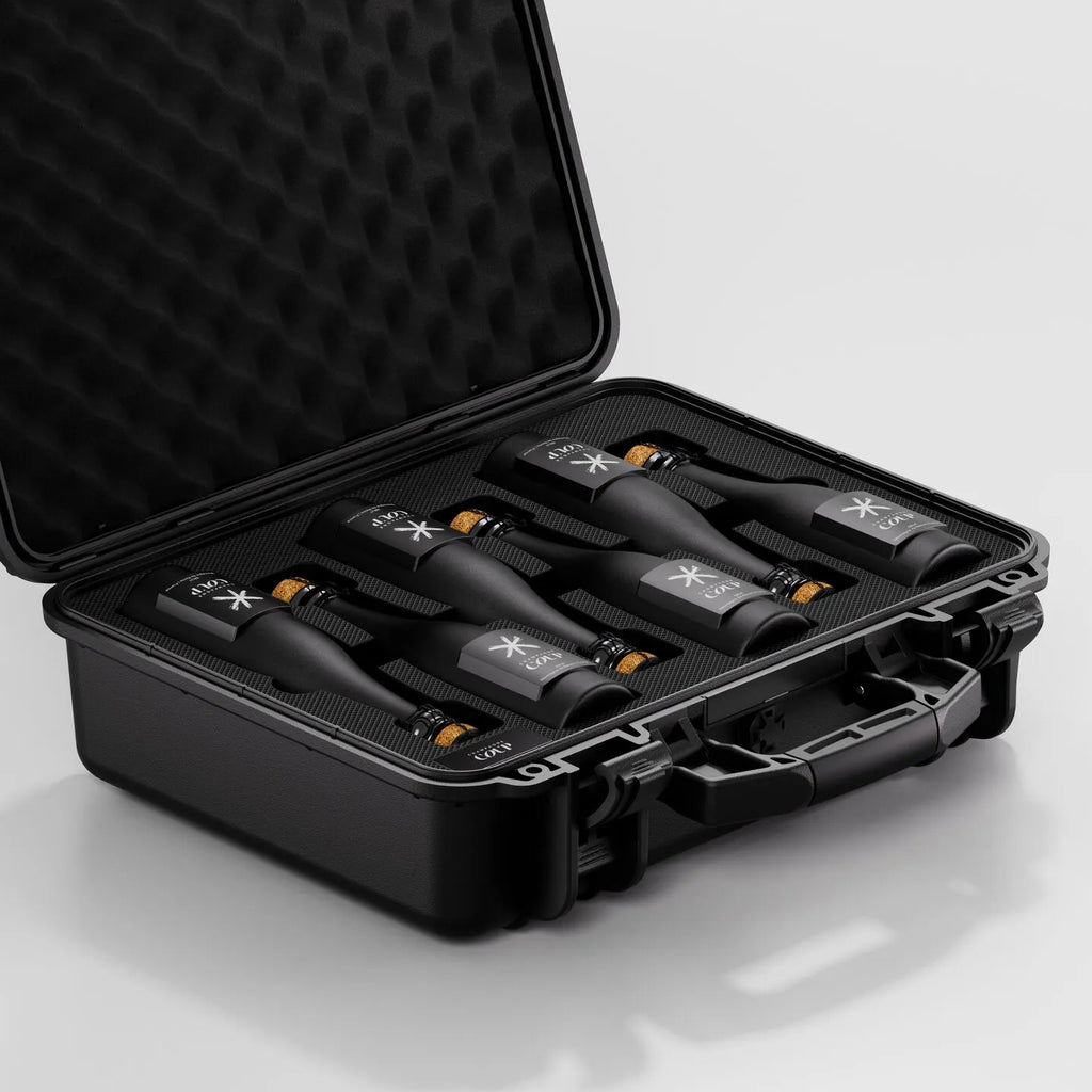 Mini6 Case - Client Appreciation