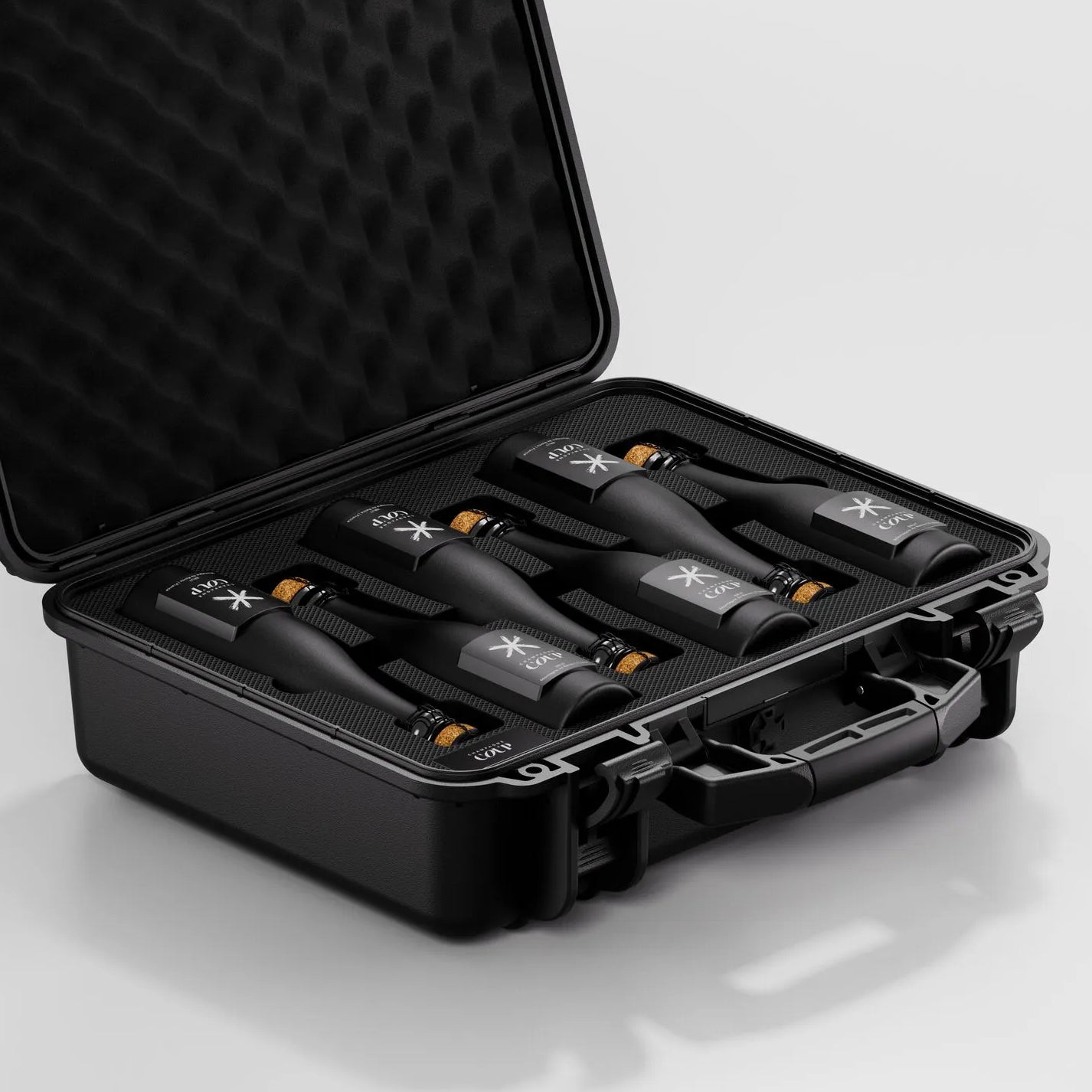 Mini6 Case