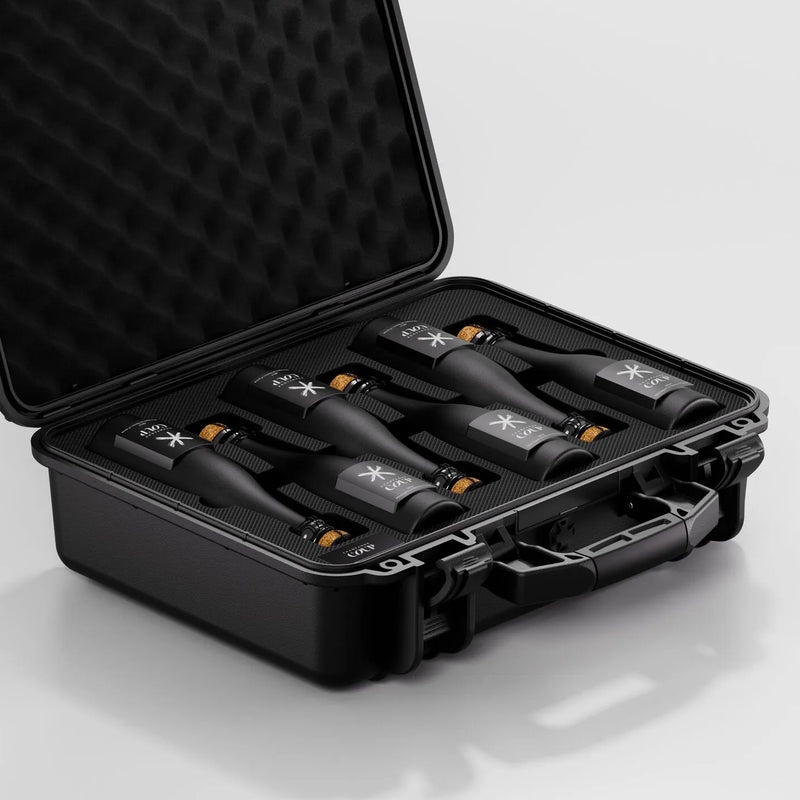 Mini6 Case