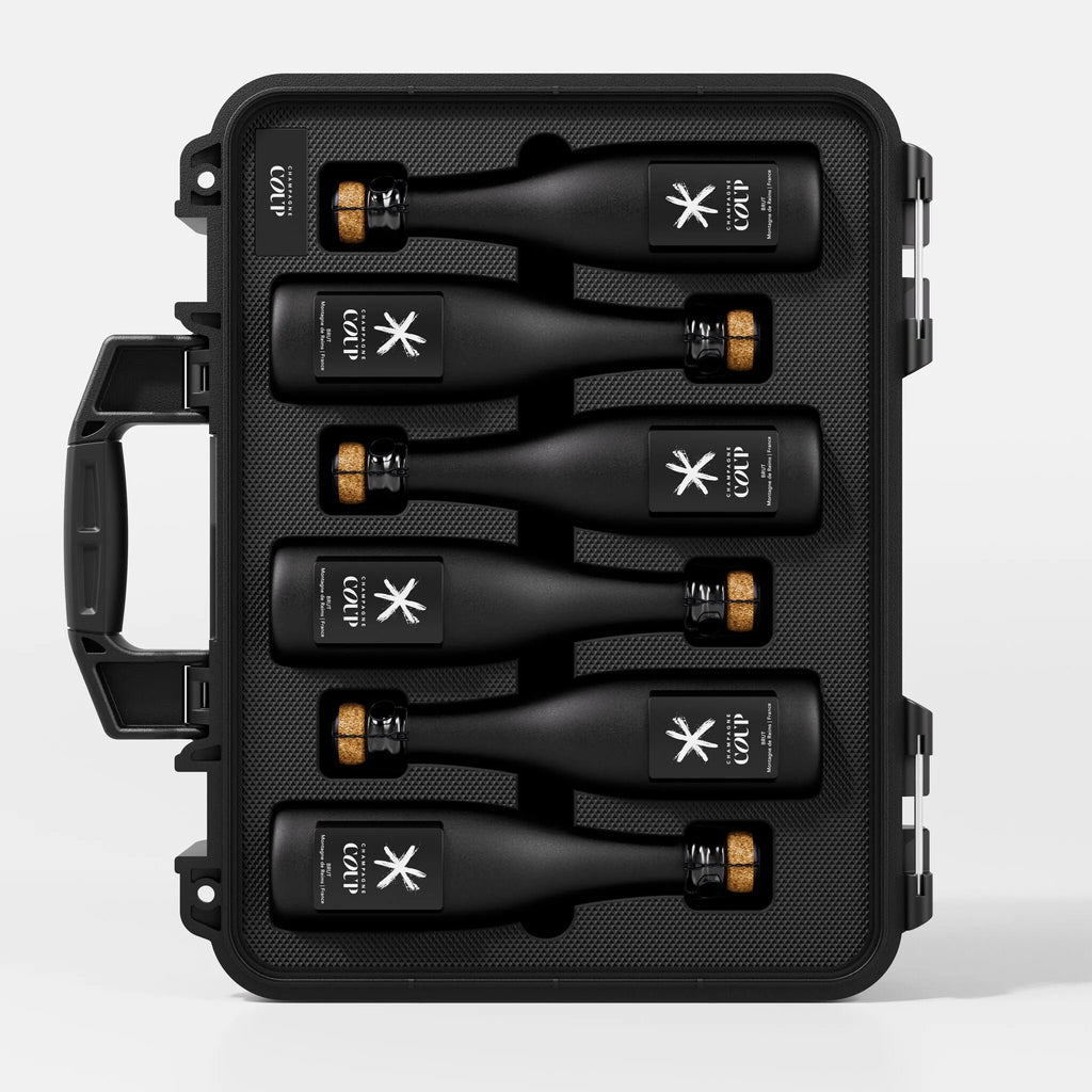 Mini6 Case