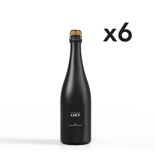 Case (6 Bottles)
