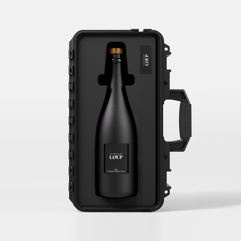 COUP - Offit Kurman Design Solo Case