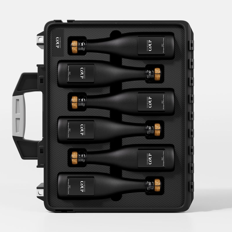 COUP - Kevin Patrick Law Design